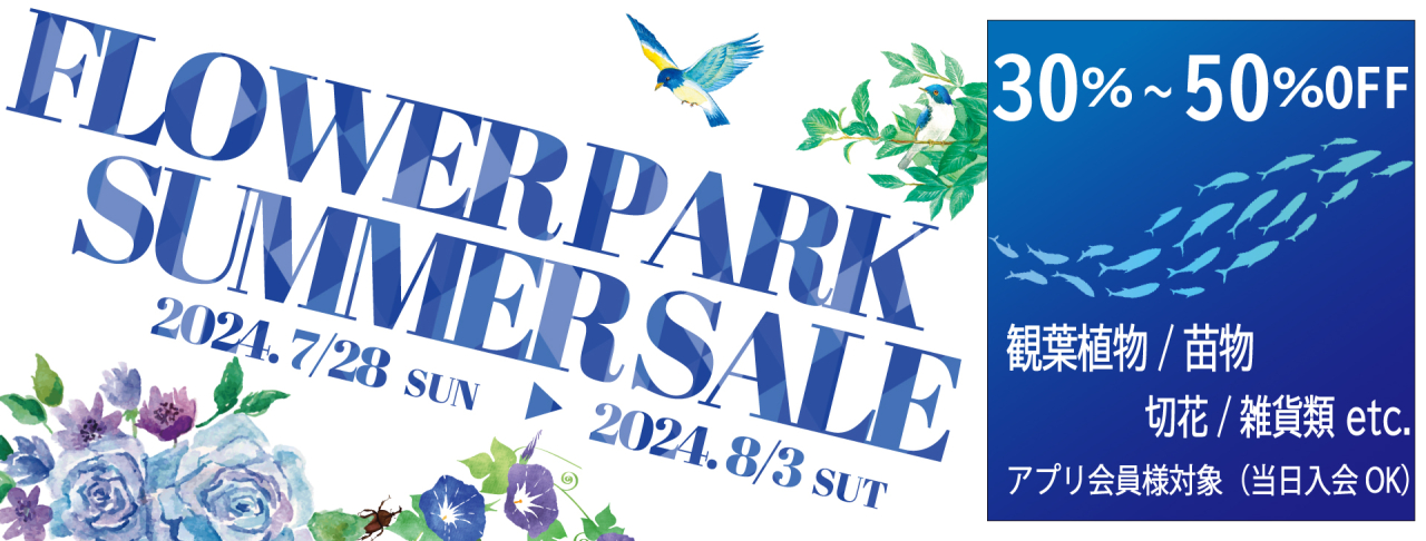 HPバナー画像2024.07_SALE