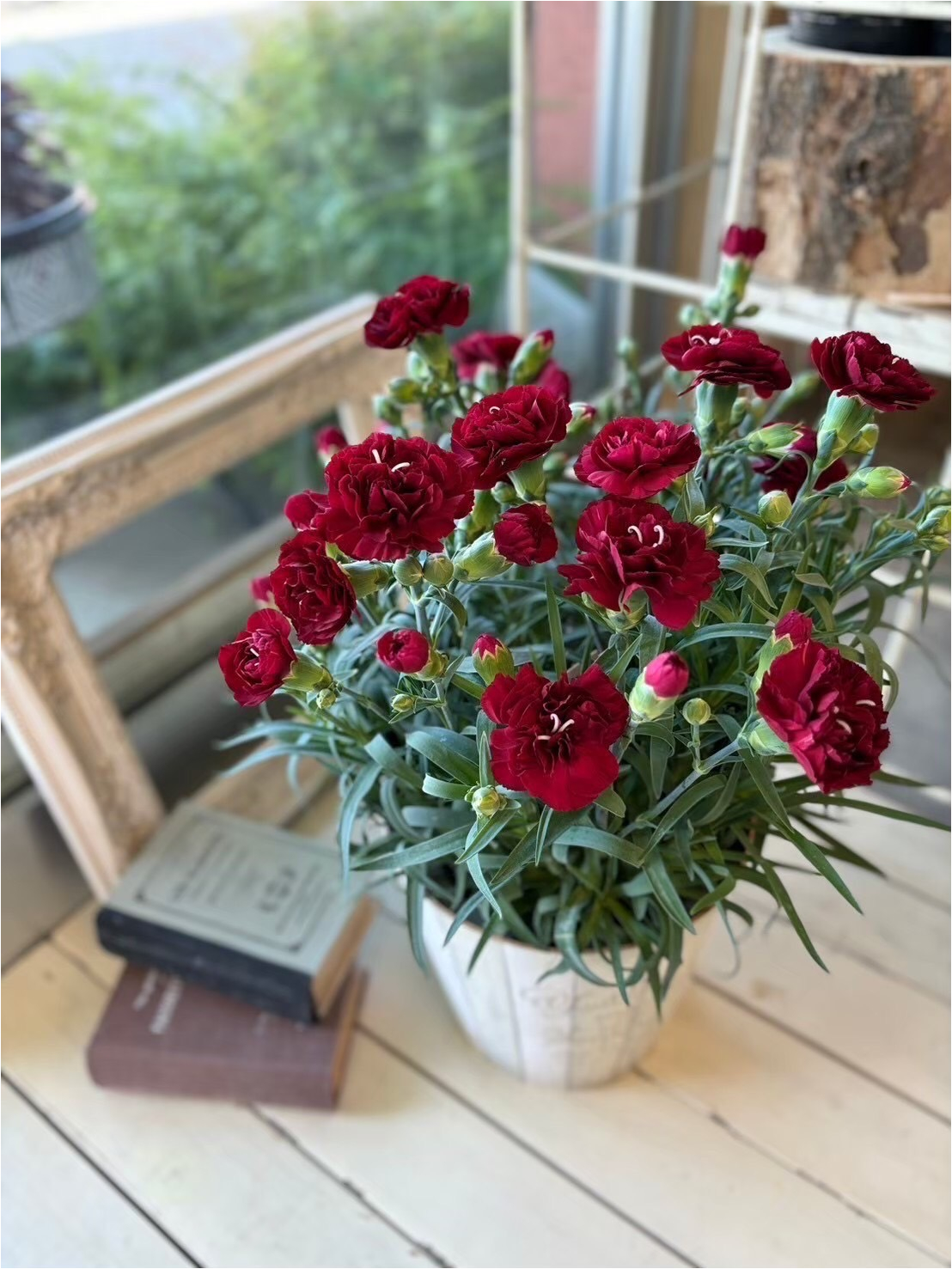 ★母の日5/8～5/10期間お届け★【m015】カーネーション 「カシスムース」＆ブリキ缶入り焼き菓子セット