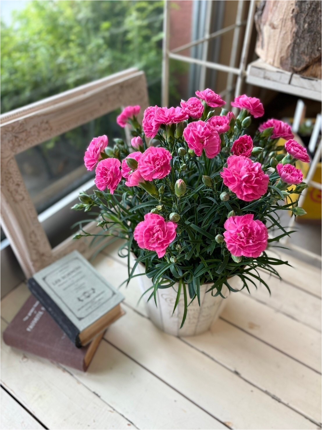 ★母の日5/8～5/10期間お届け★【m015】カーネーション 「ももりーな」＆ブリキ缶入り焼き菓子セット